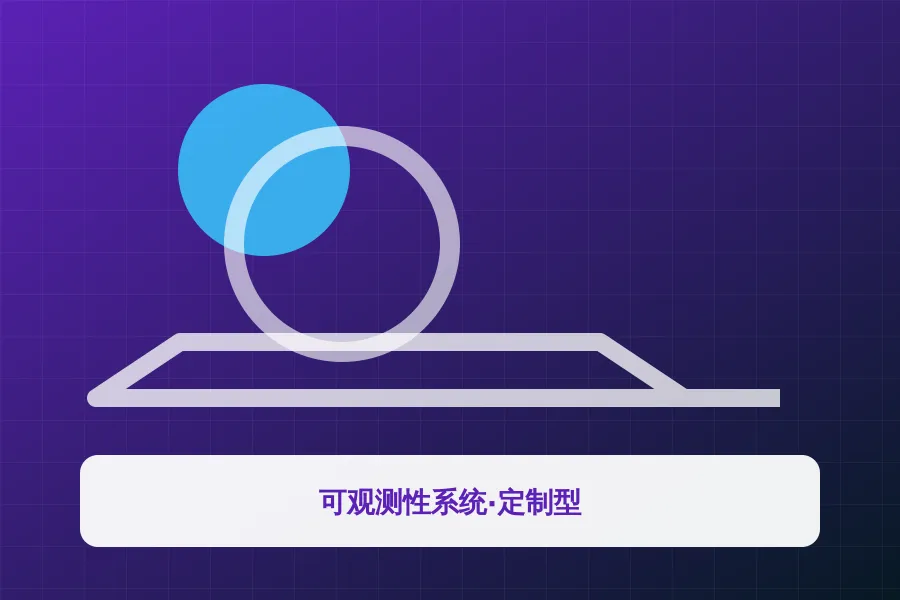 可观测性系统·定制型应用示意图
