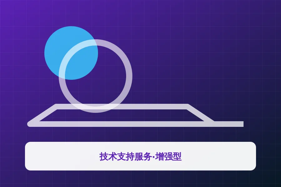 技术支持服务·增强型应用示意图