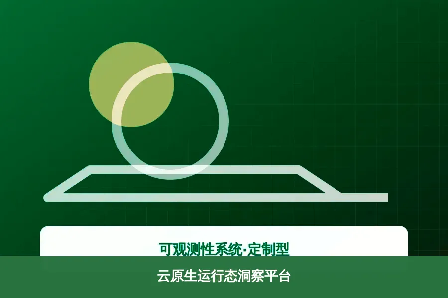 云原生运行态洞察平台产品示意图